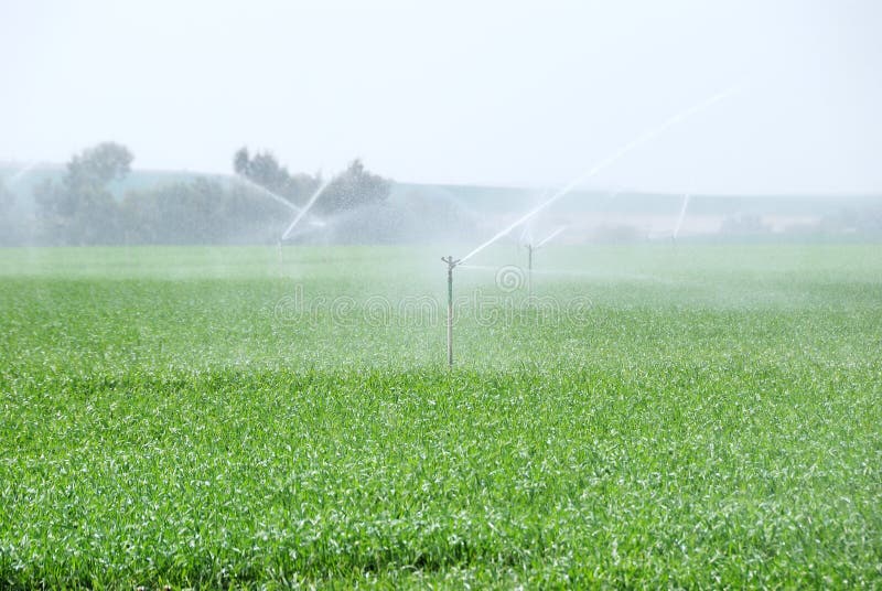 Irrigation