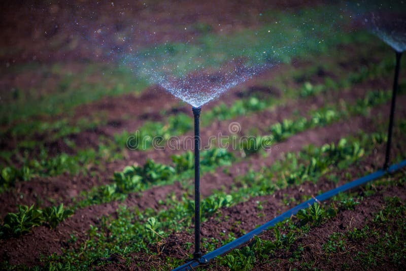 Irrigation