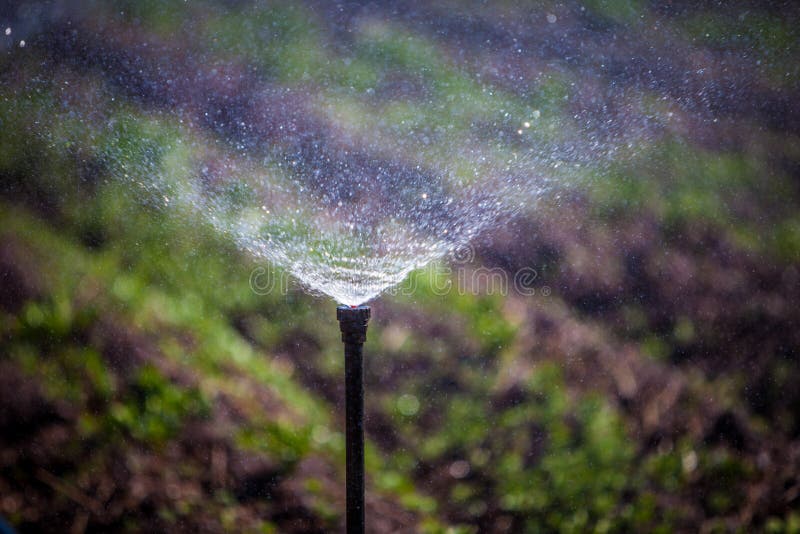 Irrigation