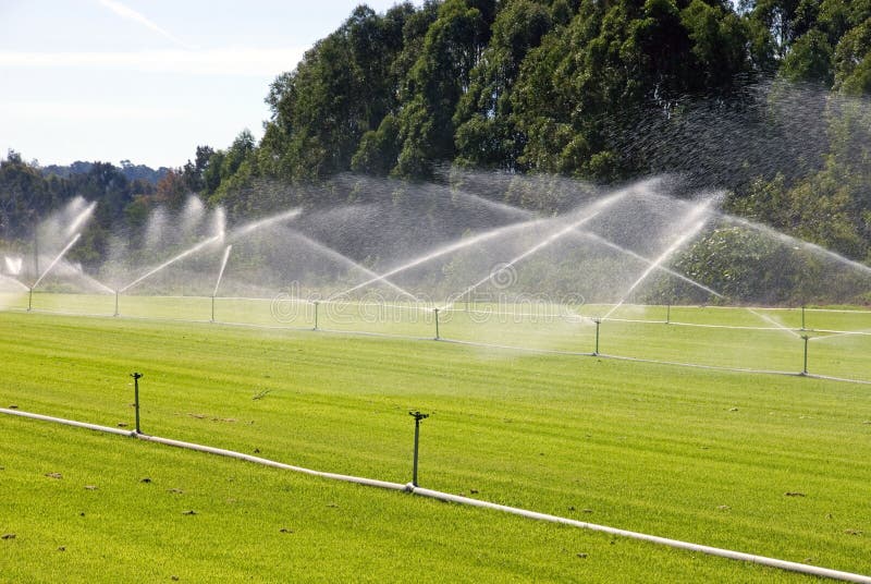 Irrigation