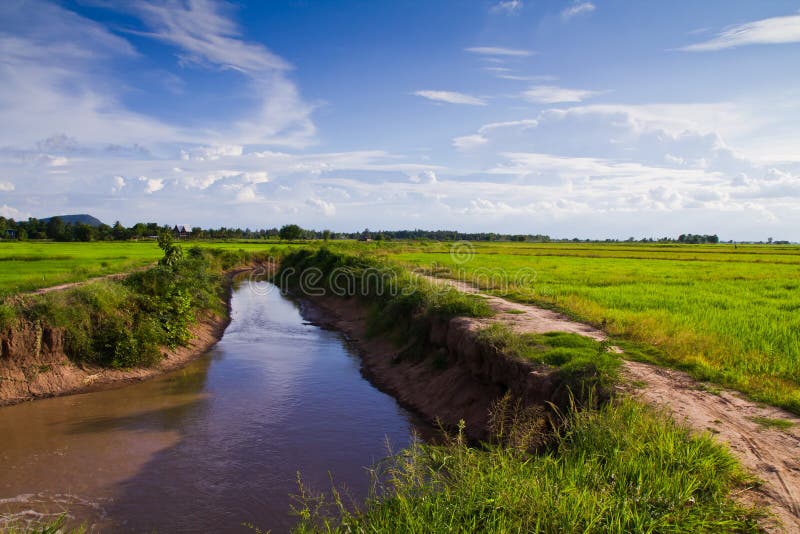 Irrigation canal