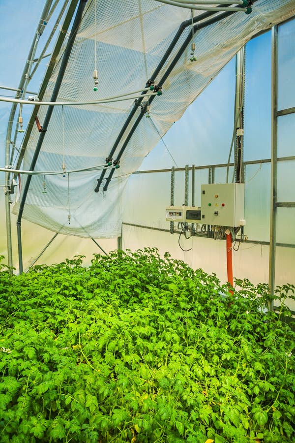 The Irrigation Control System of Modern Greenhouse Stock Image Image