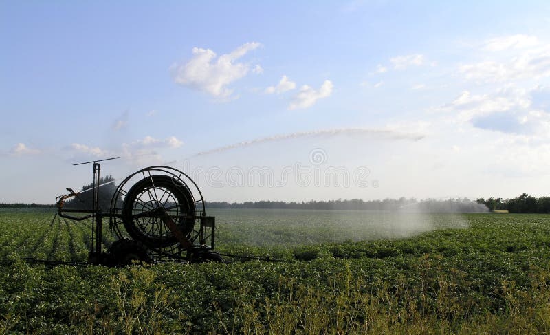 Irrigation des pommes de terre image stock Irrigation des pommes de terre image stock
