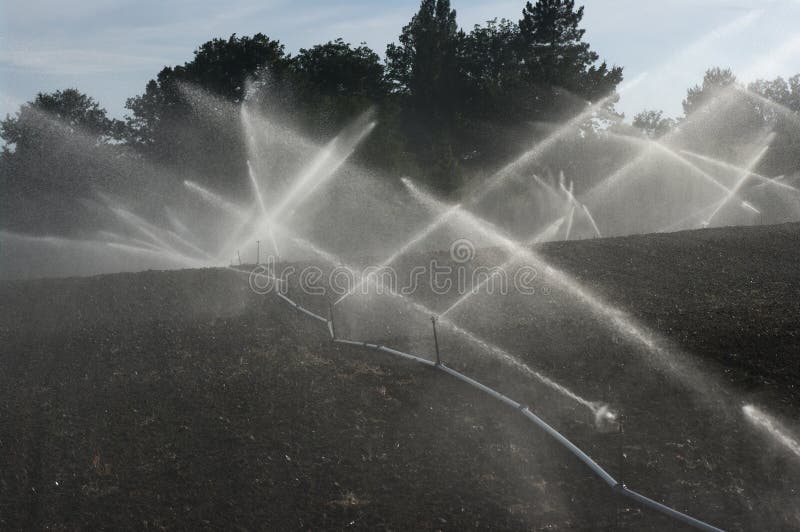 Irrigation field stock image