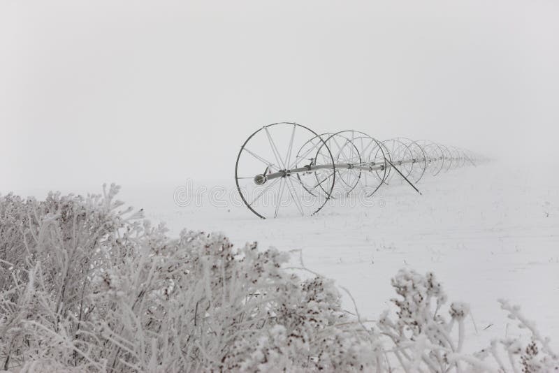 Irrigation pipe in winter fog.