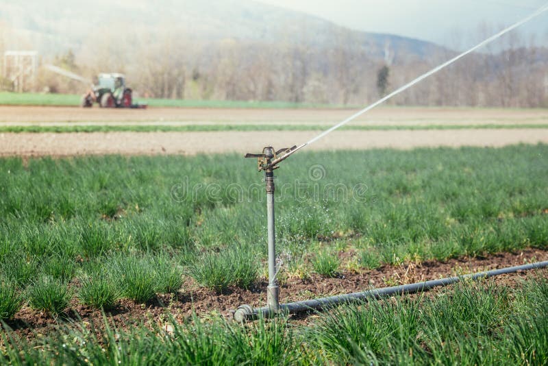 Irrigation Plant System on a Field, Agriculture. Tractor in the Blurry