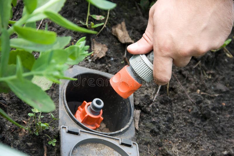 Irrigation sprinkler watering grass plug and socke royalty free stock images