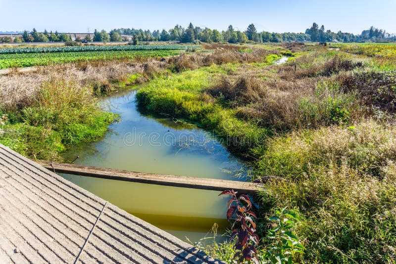 Crops and Irrigation stock image. Image of plants, trench 259448401