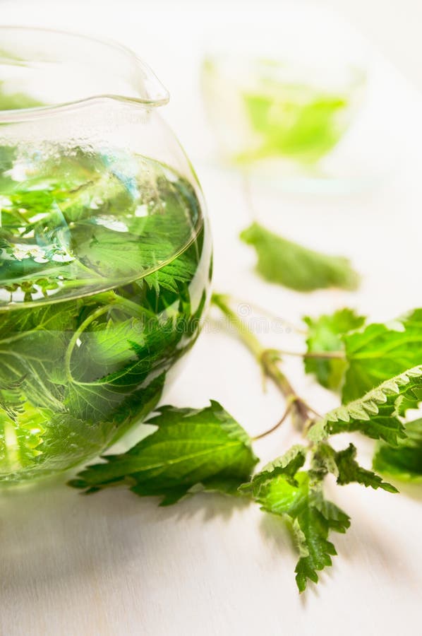 Irritare'il tè in teiera di vetro e foglie fresche fotografia stock libera da diritti Irritare'il tè in teiera di vetro e foglie fresche fotografia stock libera da diritti