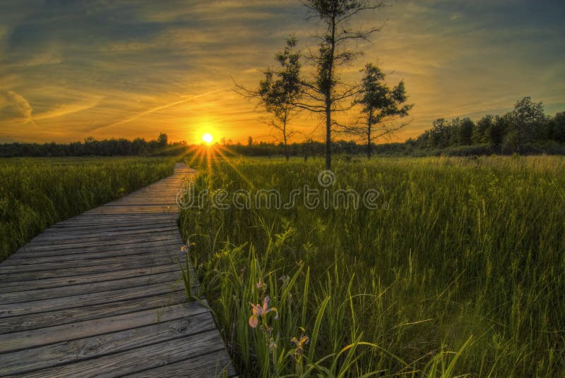 Irwin Prairie Sunset