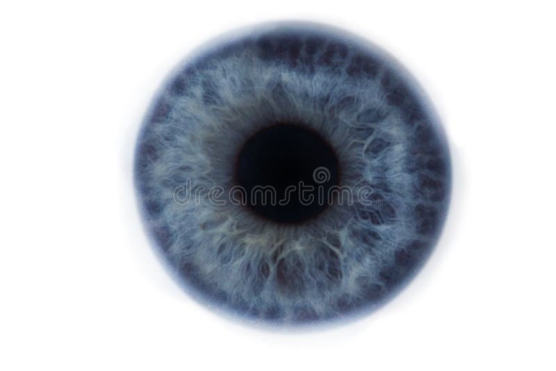 Irys błękitny czysty ludzki oko