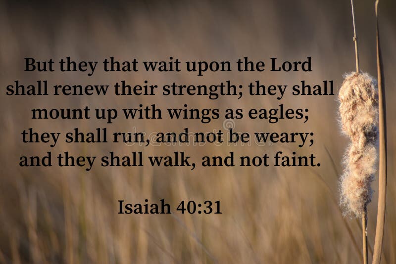 Isaiah 40 21 31 Stock Photos Free Royalty Free Stock Photos From isaiah-40-21-31-stock-photos-free-royalty-free-stock-photos-from