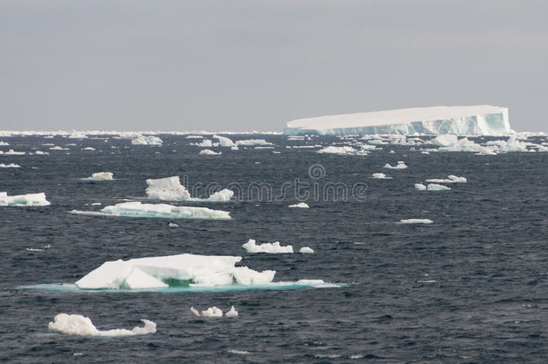 Enroute from the Orcanadas to the Tip of the Antarctic Peninsula, te weddellii sea was flooded with giant tabular icebergs. Enroute from the Orcanadas to the Tip of the Antarctic Peninsula, te weddellii sea was flooded with giant tabular icebergs.