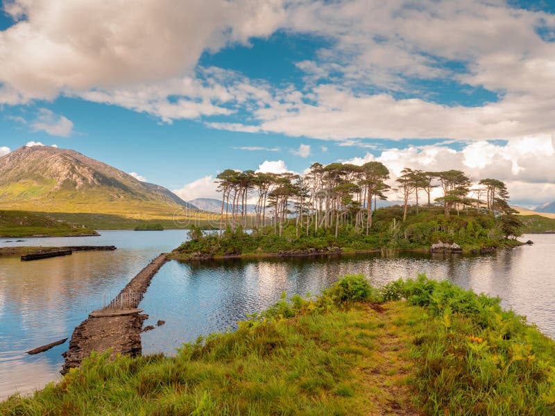 Isla del pino en el parque nacional de Connemara, día caliente soleado, condado Galway, Irlanda Cielo dram?tico nublado imagen de archivo libre de regalías Isla del pino en el parque nacional de Connemara, día caliente soleado, condado Galway, Irlanda Cielo dram?tico nublado imagen de archivo libre de regalías