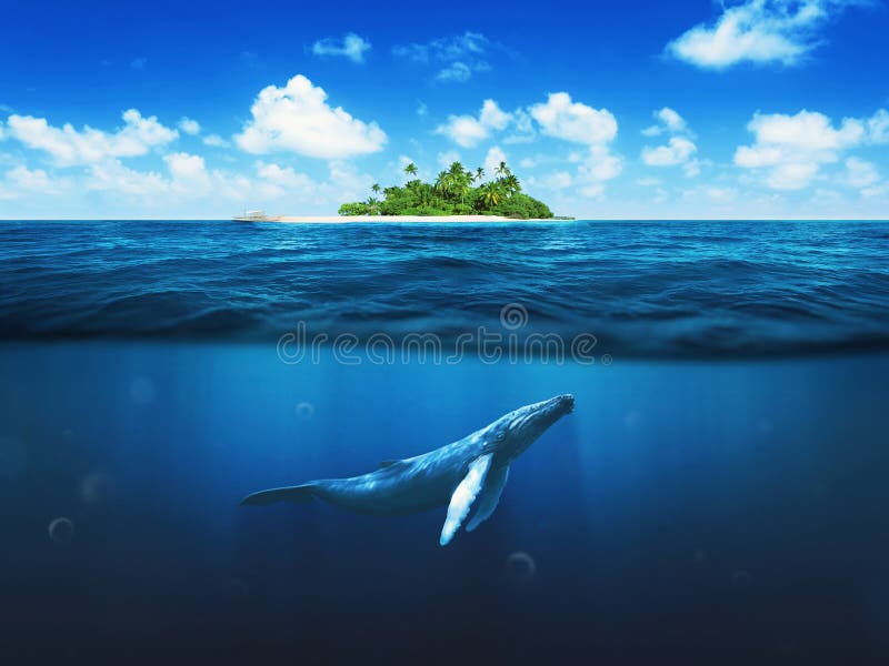 Isla hermosa con las palmeras Ballena subacuática