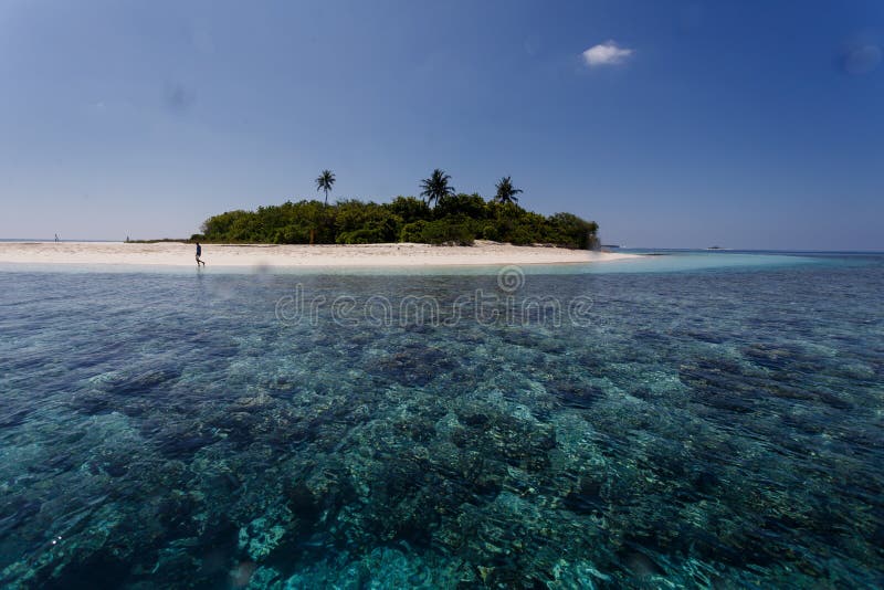 Isla tropical circundante de los arrecifes de coral pequeña con tres palmas en el Pacífico fotografía de archivo libre de regalías Isla tropical circundante de los arrecifes de coral pequeña con tres palmas en el Pacífico fotografía de archivo libre de regalías