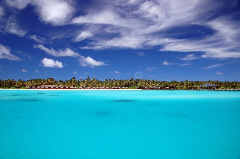 Beautiful tropical beach with coconut palm trees. Beautiful tropical beach with coconut palm trees