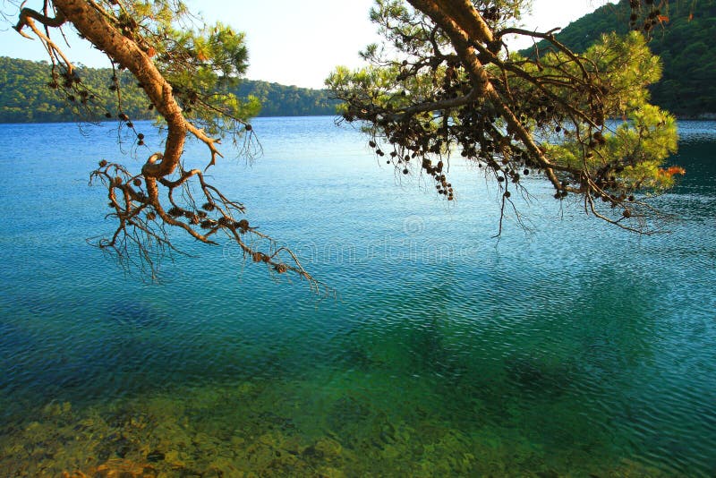 Island Mljet in Croatia