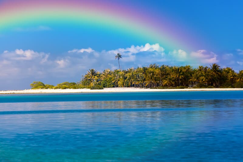 Island with Palm Trees and a Rainbow Over it Stock Image Image of