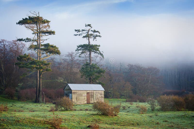 Island Pastureland