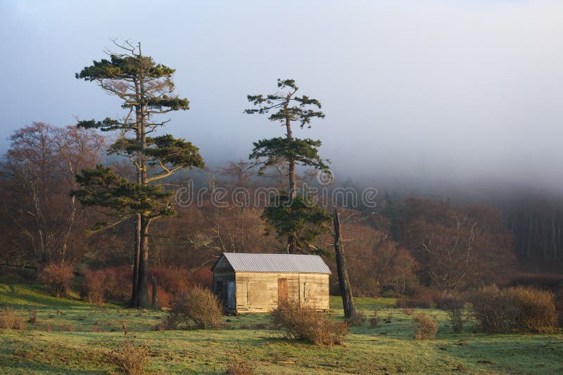 Island Pastureland