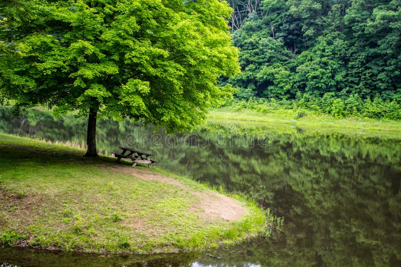 Island picnic area surrounded by a lush green forest at beautiful Scioto Trail State Park in Chillicothe, Ohio. Island picnic area surrounded by a lush green forest at beautiful Scioto Trail State Park in Chillicothe, Ohio.