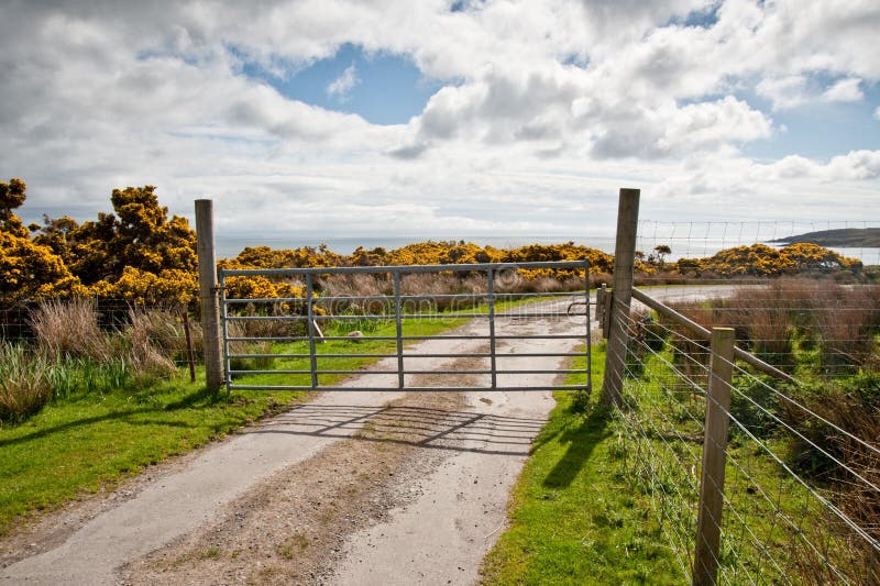 Islay road stock photo. Image of gate, hebrides, landscape 19816642