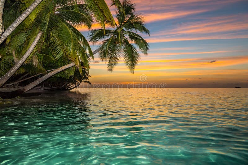Isola di paradiso di tramonto immagine stock Isola di paradiso di tramonto immagine stock