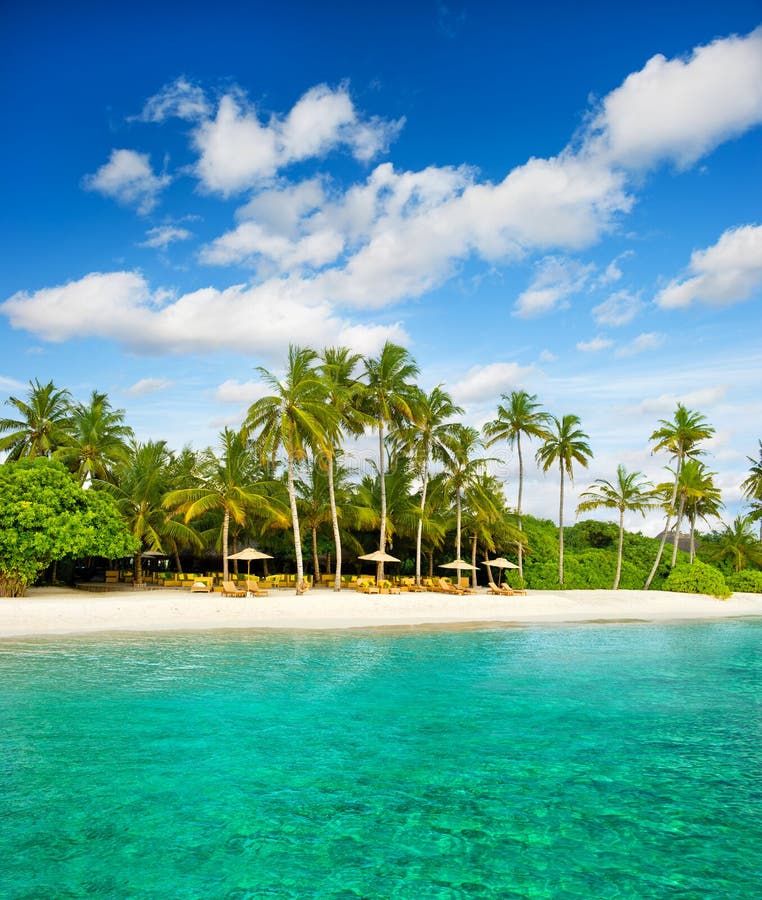 Isola tropicale Palm Beach con cielo blu