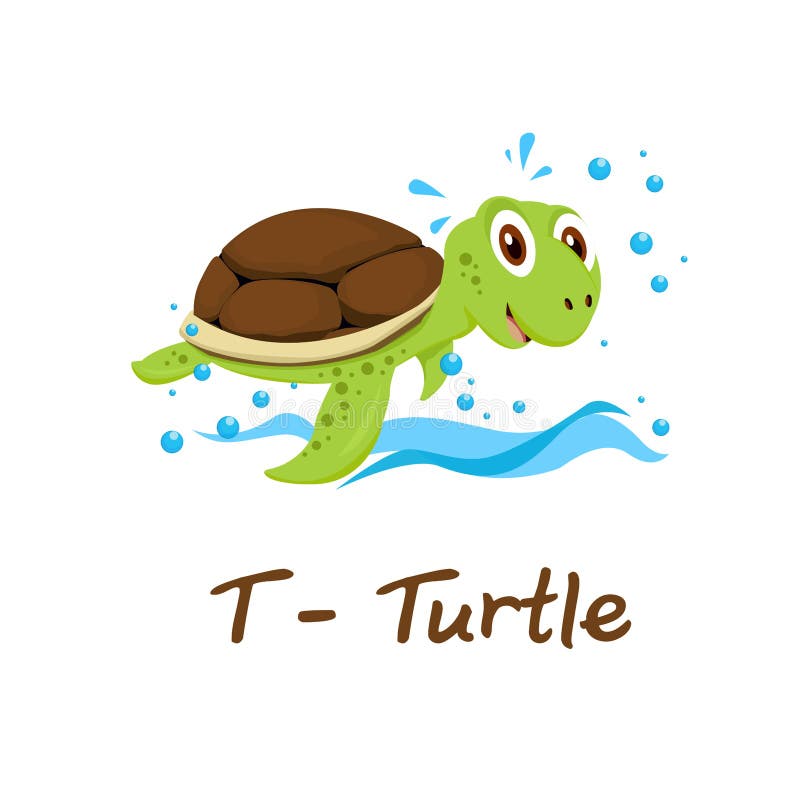 Isolated animal alphabet for the kids,T for Turtle