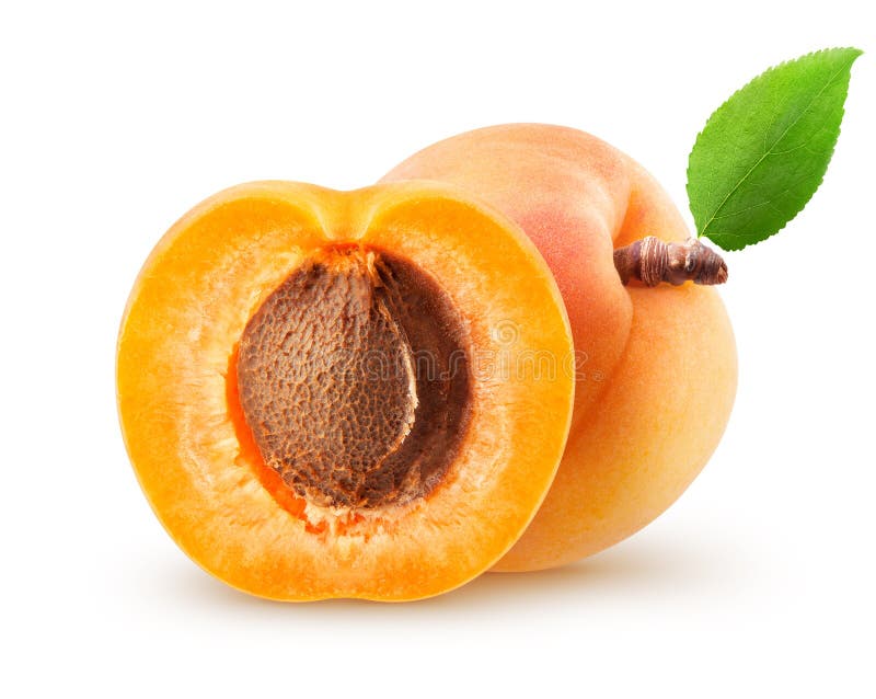 Isolated Apricots. Pile of Fresh Apricot Fruits with a Green Leaves on