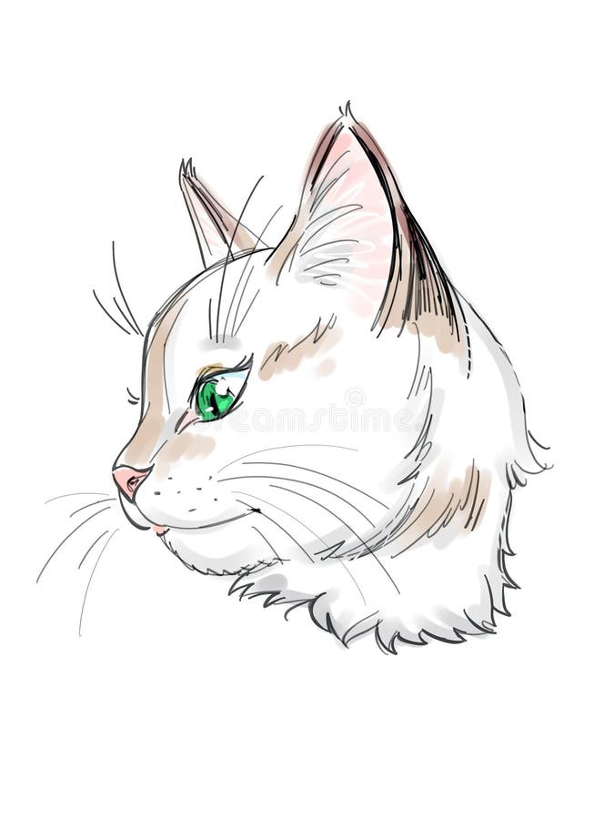 Profile of a Cat Graphic Icon Stock Illustration - Illustration of  artistic, drawing: 135822854