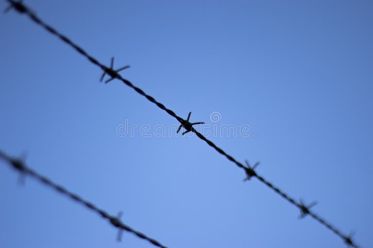 105 Strand Blue Wire Isolated Stock Photos Free & RoyaltyFree Stock