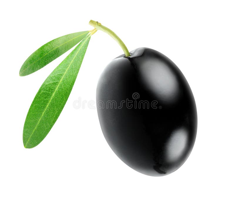 Black Olive Ornamental Peppers Stock Photo Image of leaf, patch 60742284