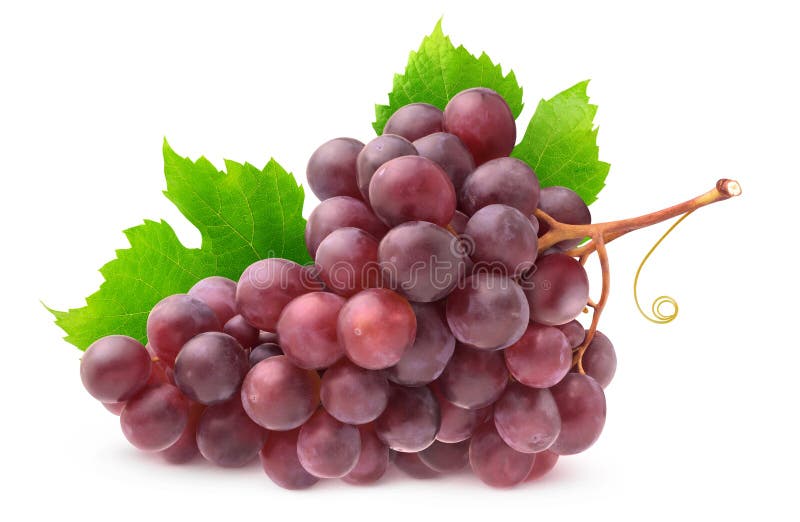 Isolated bunch of red grapes