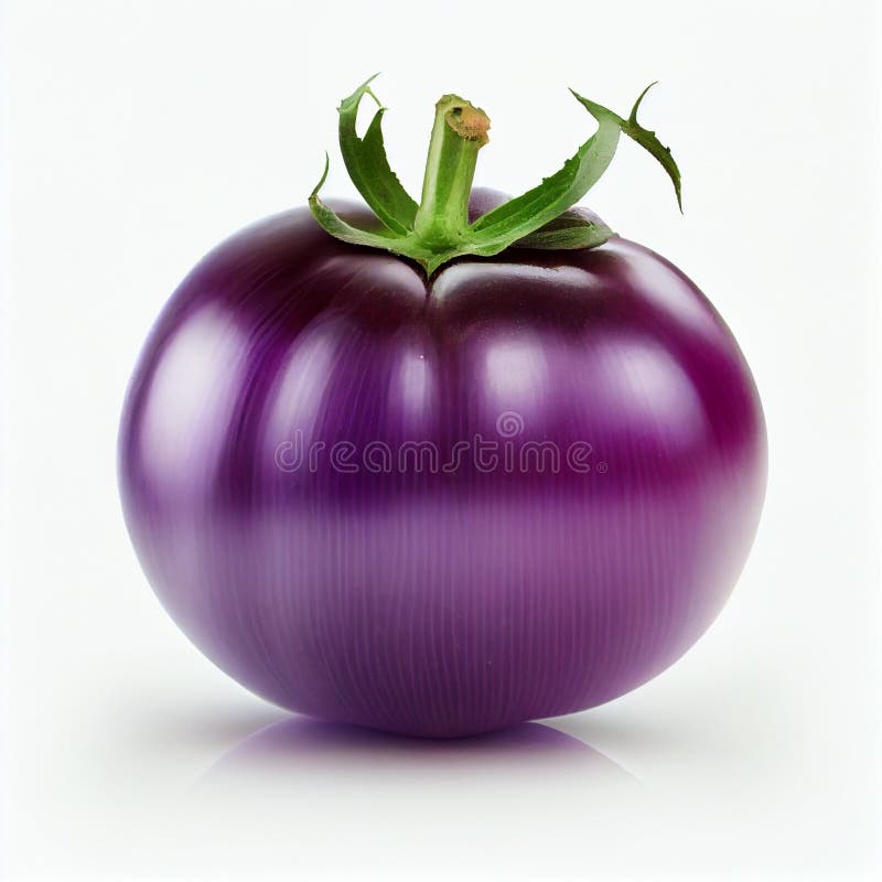 Isolated Cherokee Purple Tomato on a White Background. Stock