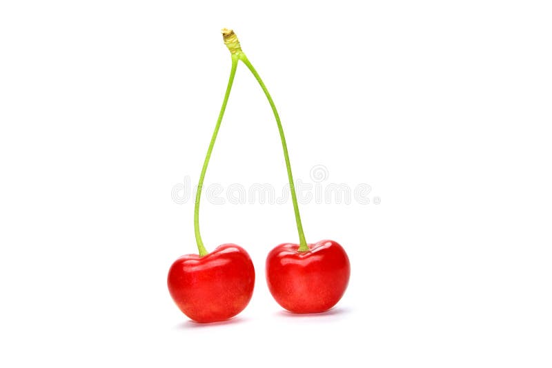 Cherry Ripening Succession. Stock Image - Image of antioxidant ...