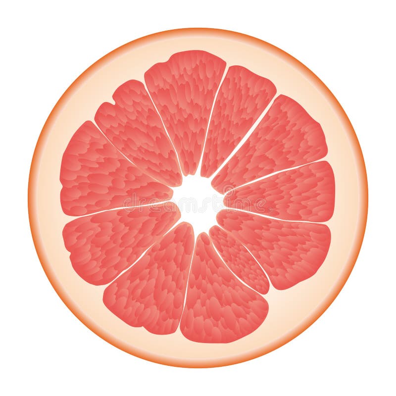 Isolated circle of juicy pink color grapefruit on white background. Realistic colored round slice.