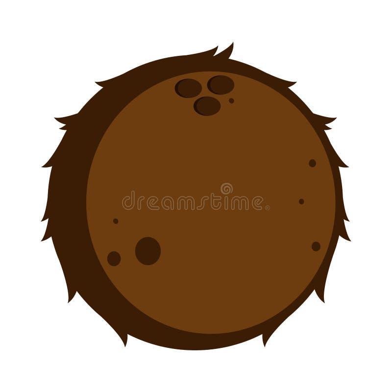 Isolated coconut icon royalty free illustration