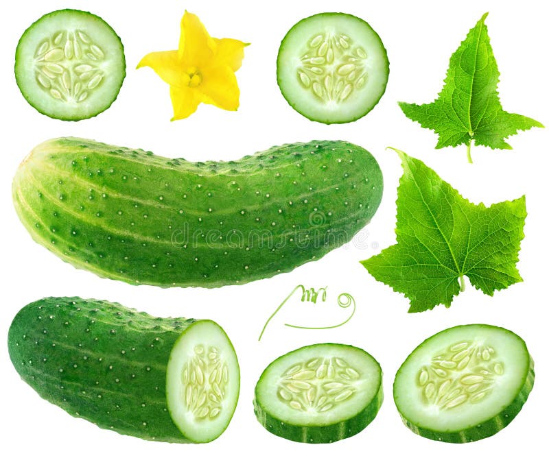 Isolated cucumber collection