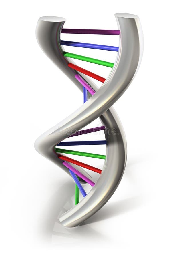 3D rendered DNA segment - double Helix. 3D rendered DNA segment - double Helix