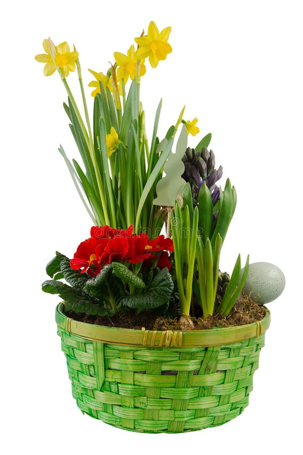 Isolated easter decoration with spring flowers