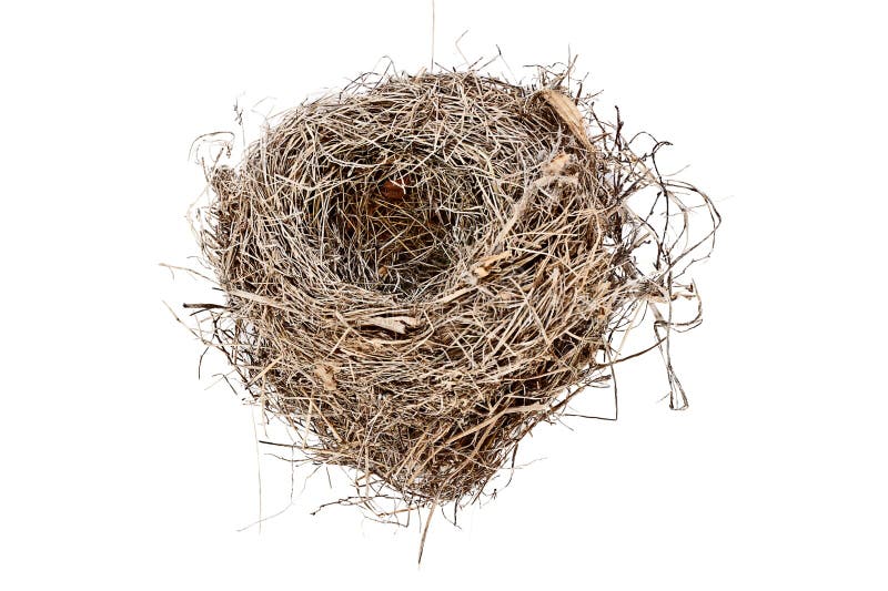 Isolated Empty Bird Nest stock images Isolated Empty Bird Nest stock images