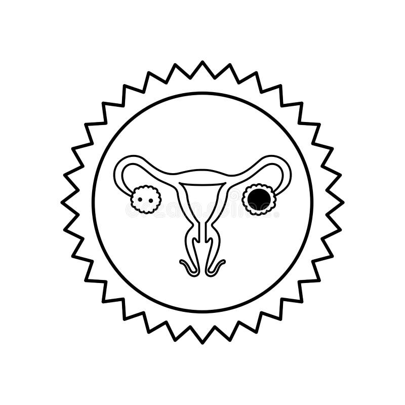 Isolated Female Reproductive System Icon Vector Design Stock Vector ...