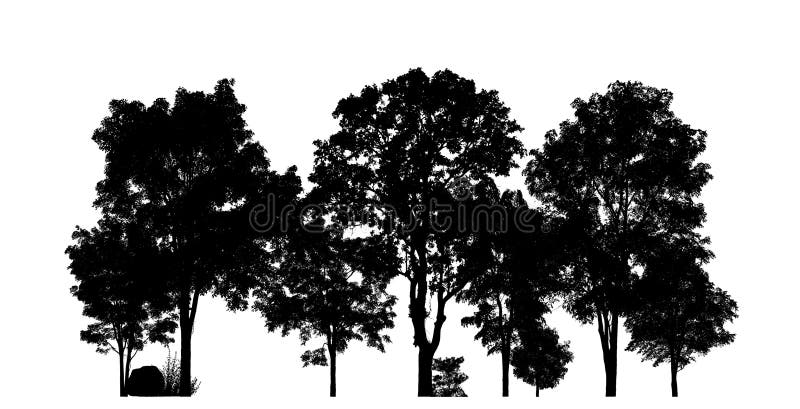 Isolated Forest Silhouette on White Background . Stock Illustration ...
