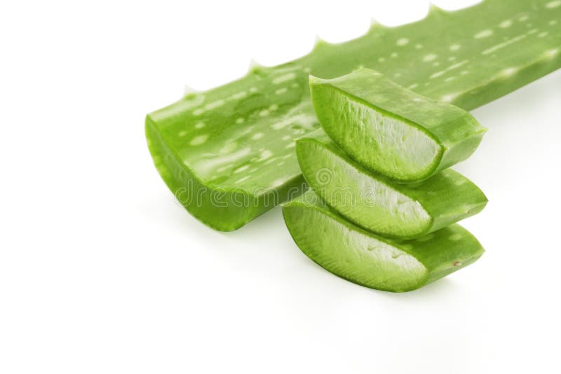 Isolated Fresh Aloe Vera Leaves Sliced on White Background. Aloe Vera Gel Have Medical Properties for Wound Healing Image - Image of chopped, ingredient: