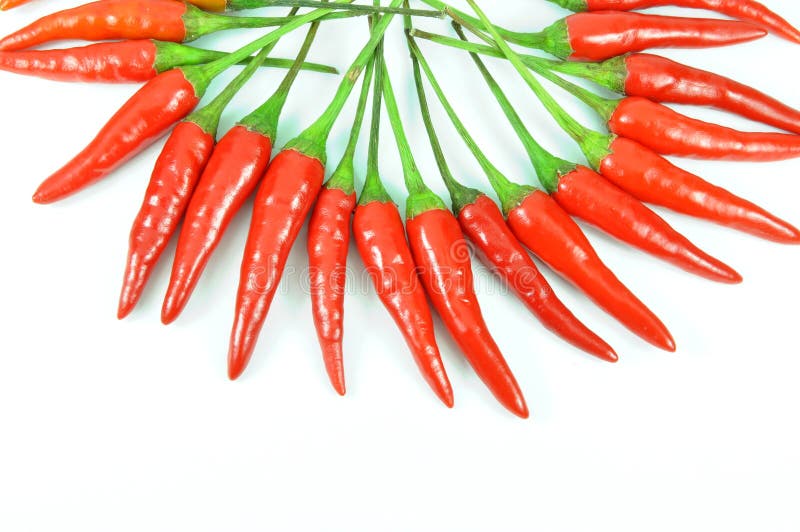 Isolated fresh hot pepper stock image. Image of cook 14240273