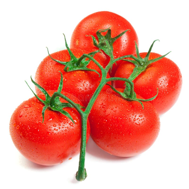 Isolated fresh tomatoes