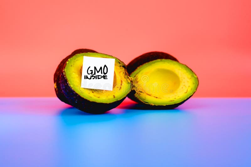 Isolated fruit on flat background labeled with genetically modified food warning sticker stock photos