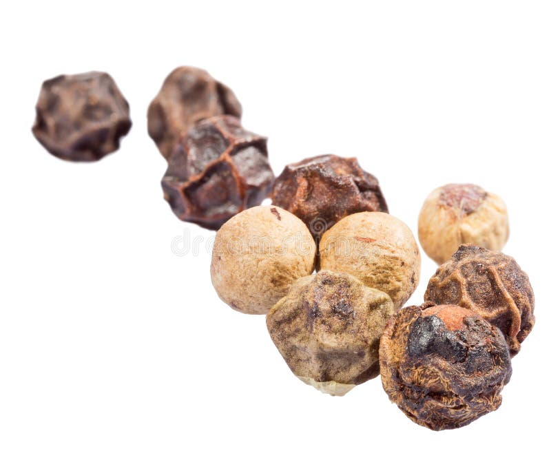 Isolated Group of Black and White Peppercorns Stock Image Image of